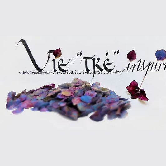 Vitré inspirée, Vi tré inspirée , Vitre (35)