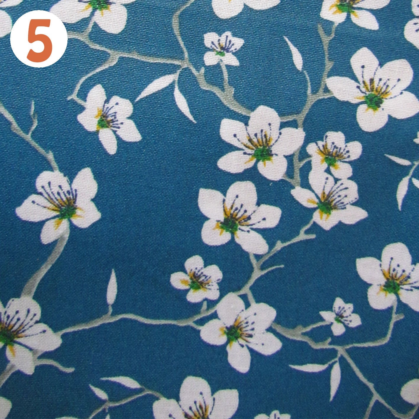 Etui à brosse à dent imperméable